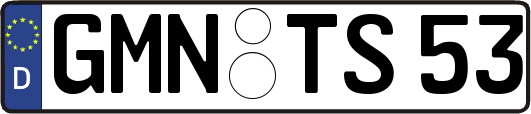 GMN-TS53