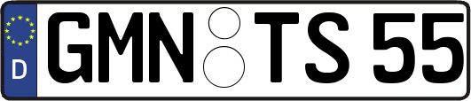 GMN-TS55