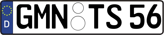 GMN-TS56