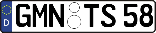 GMN-TS58