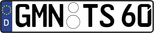 GMN-TS60