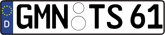 GMN-TS61