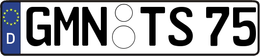 GMN-TS75
