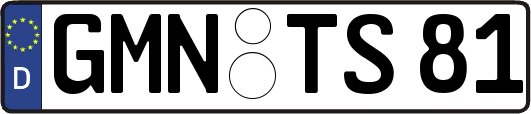 GMN-TS81