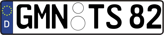 GMN-TS82
