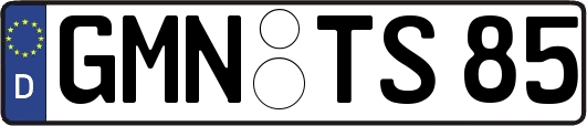 GMN-TS85