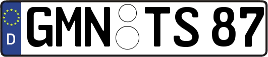 GMN-TS87