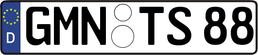 GMN-TS88