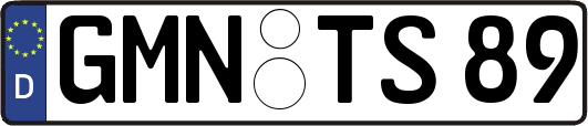 GMN-TS89