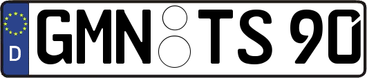 GMN-TS90