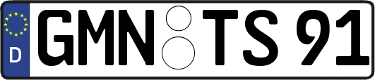 GMN-TS91
