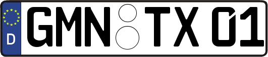 GMN-TX01