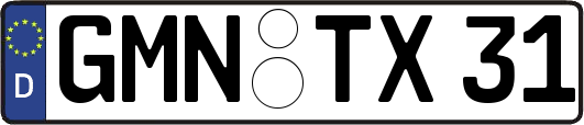 GMN-TX31