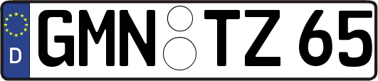 GMN-TZ65