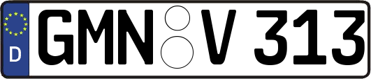 GMN-V313