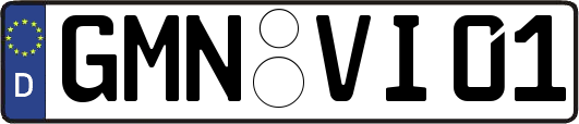 GMN-VI01