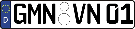 GMN-VN01