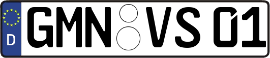 GMN-VS01