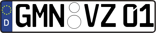 GMN-VZ01