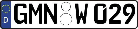GMN-W029