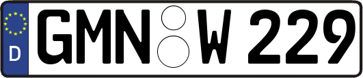 GMN-W229