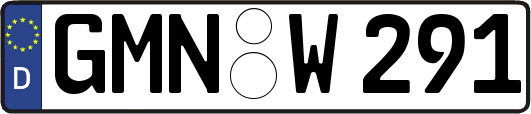 GMN-W291