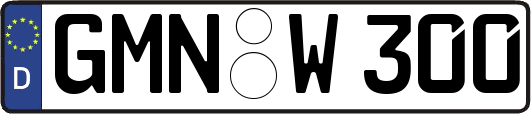 GMN-W300