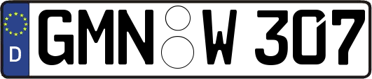 GMN-W307