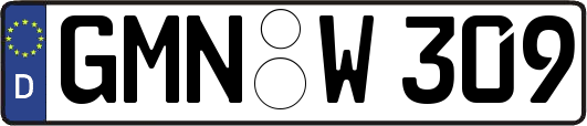 GMN-W309