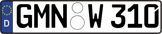 GMN-W310