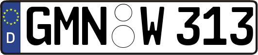 GMN-W313