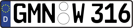 GMN-W316