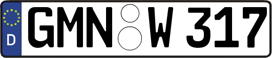 GMN-W317