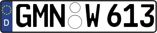 GMN-W613