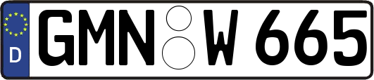 GMN-W665