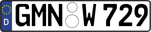 GMN-W729