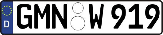 GMN-W919