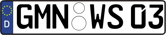 GMN-WS03