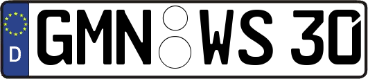 GMN-WS30