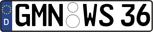 GMN-WS36