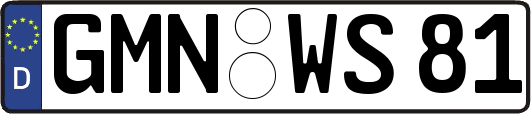 GMN-WS81