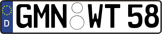 GMN-WT58