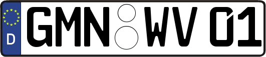 GMN-WV01
