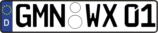 GMN-WX01