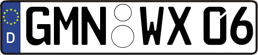 GMN-WX06