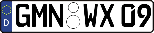 GMN-WX09