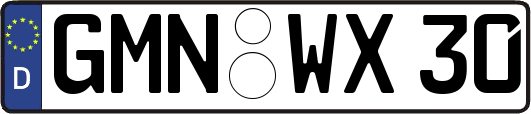 GMN-WX30