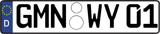 GMN-WY01