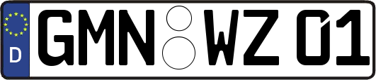 GMN-WZ01