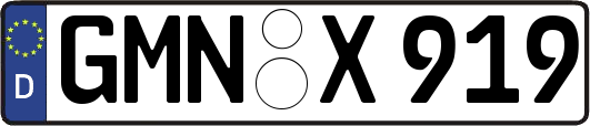 GMN-X919
